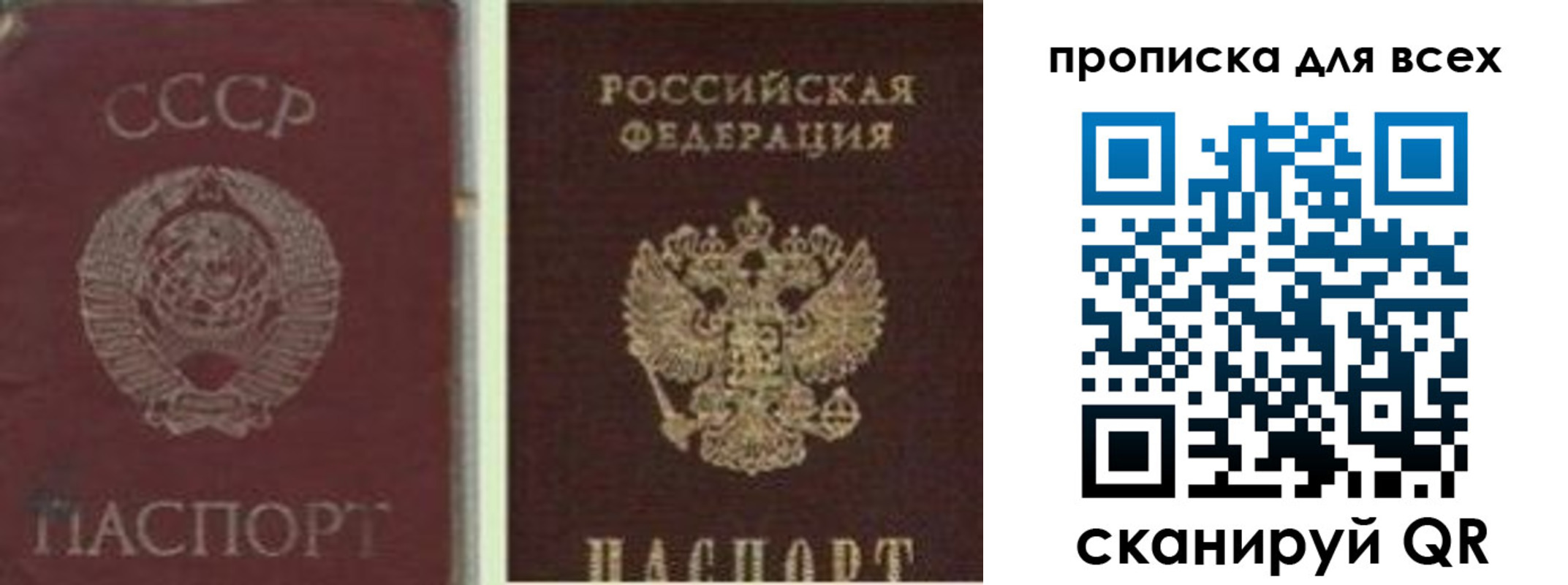 временная прописка в Сольцах